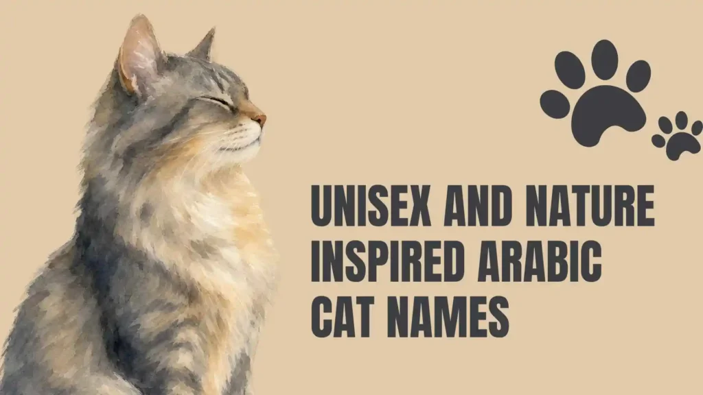 arabic cat names
