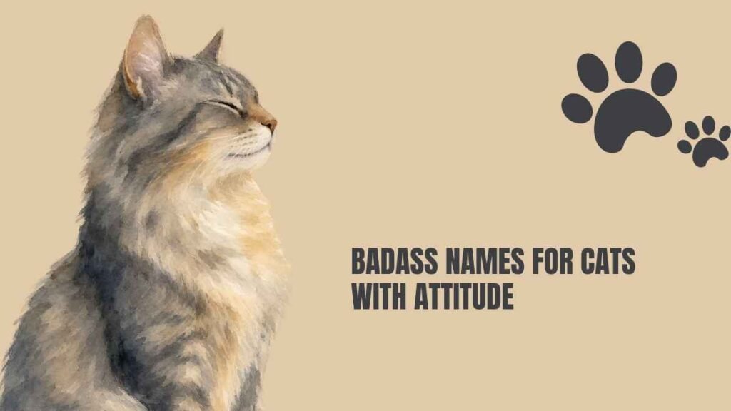 Badass Cat Names