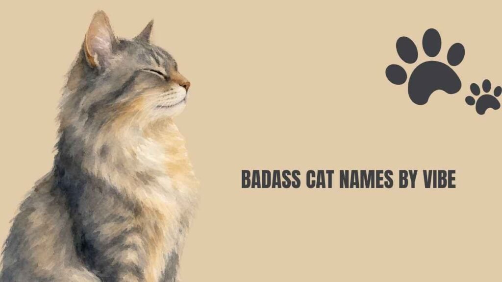 Badass Cat Names