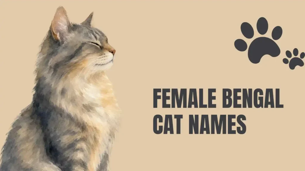 bengal cat names