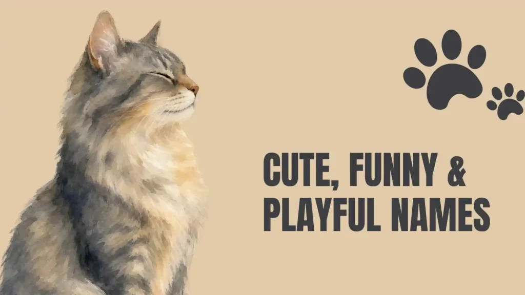 bengal cat names