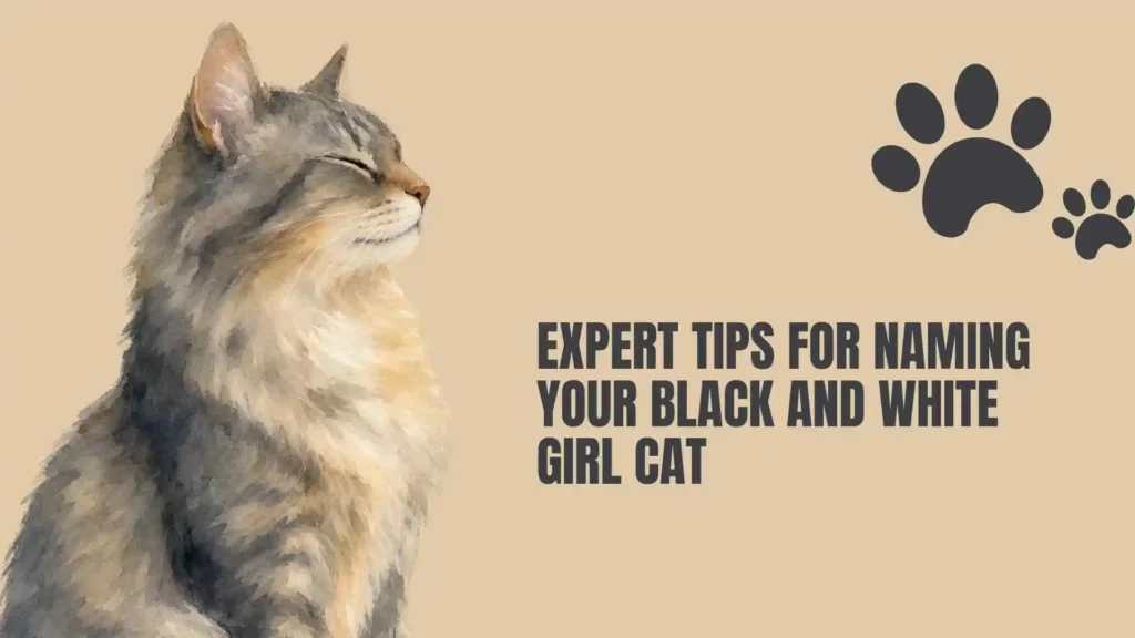 black and white cat names girl