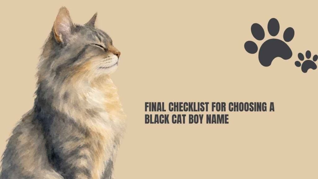Black Cat Boy Names