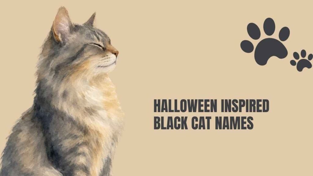 black cat names girl