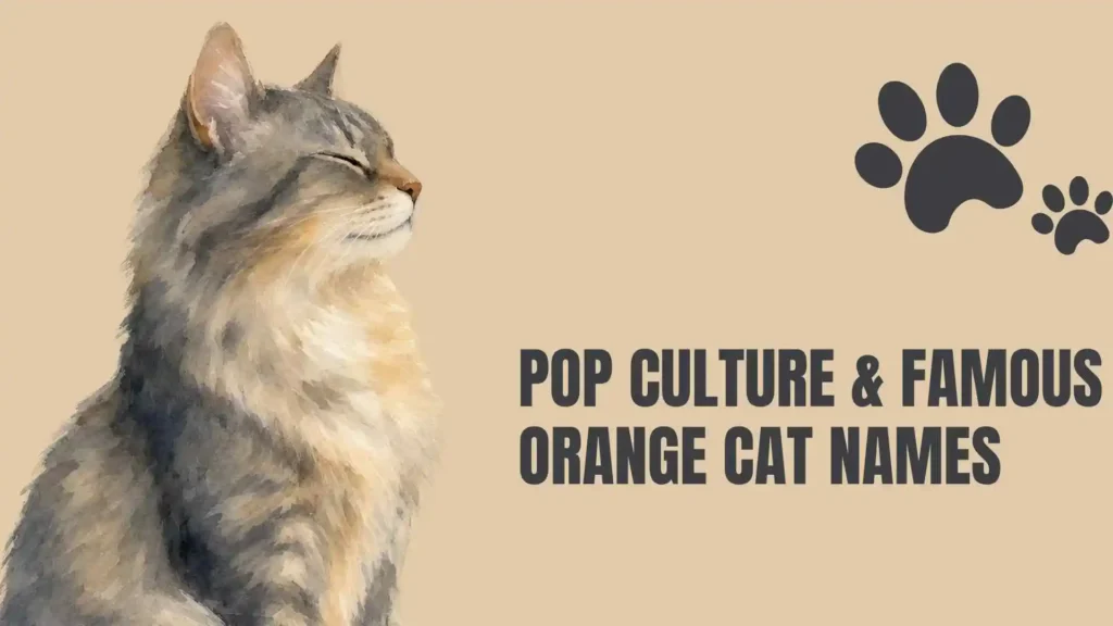 boy orange cat names