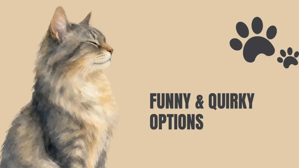 boy orange cat names