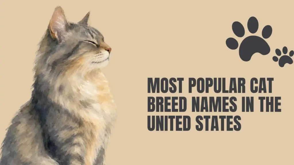 cat breed names