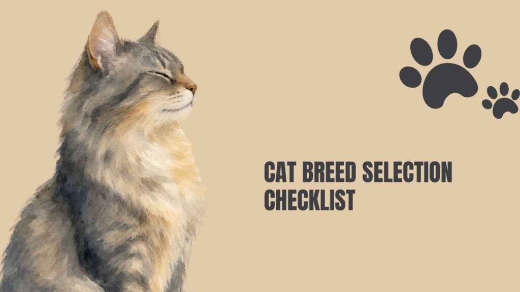 cat breeds with photos and names