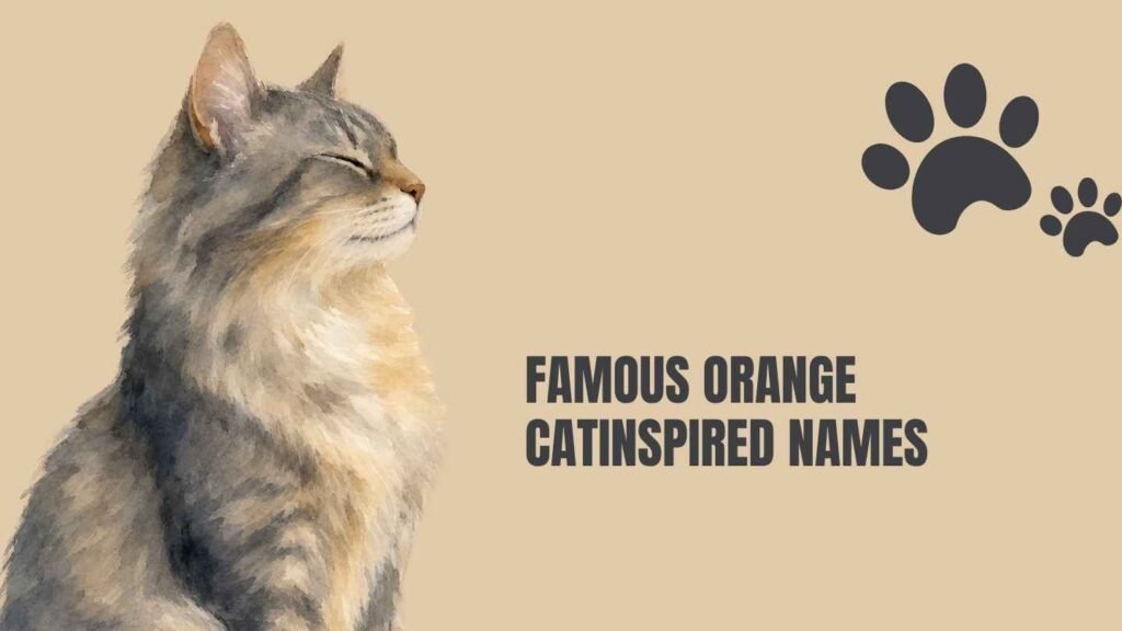 cat names for orange cats