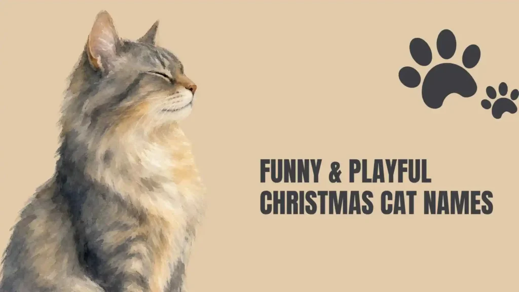christmas cat names