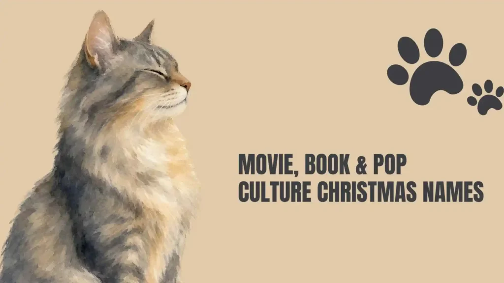 christmas cat names