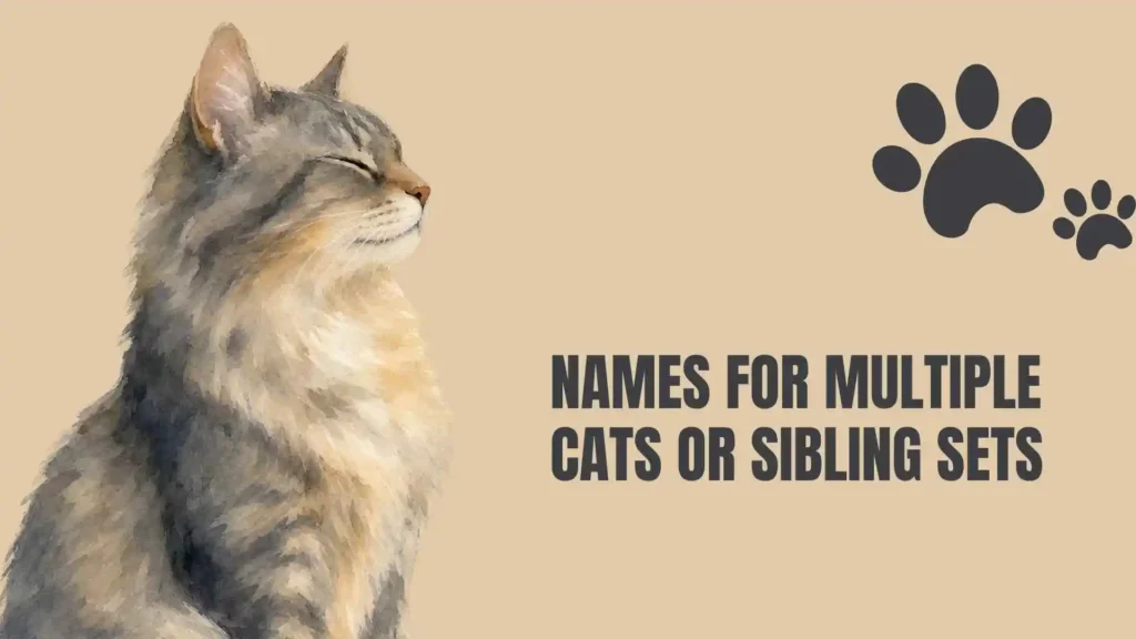 crazy cat names