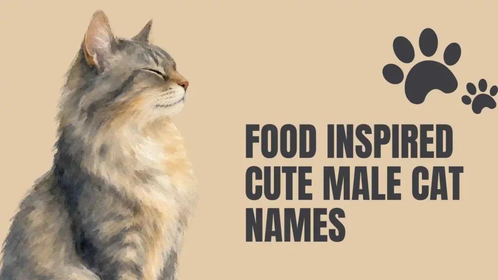 cute cat names male
