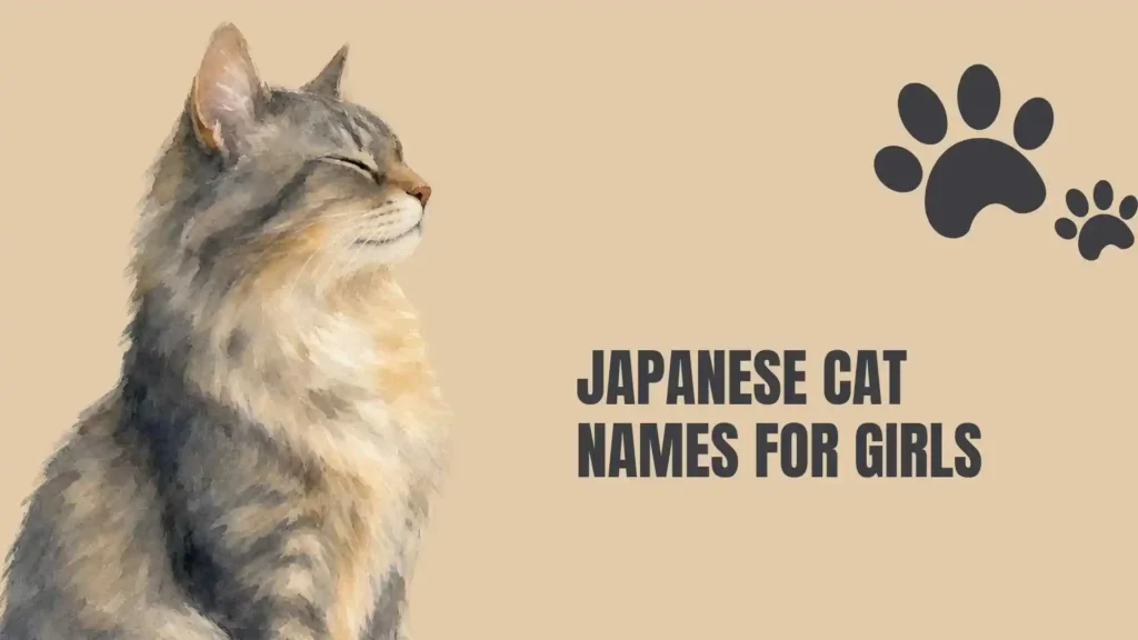 cute japanese cat names