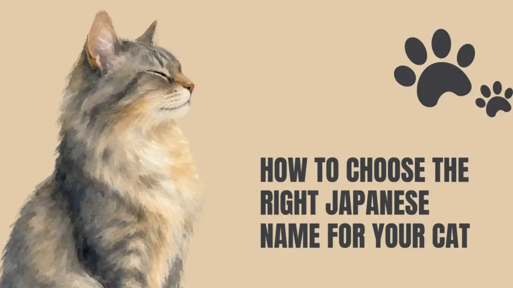 cute japanese cat names