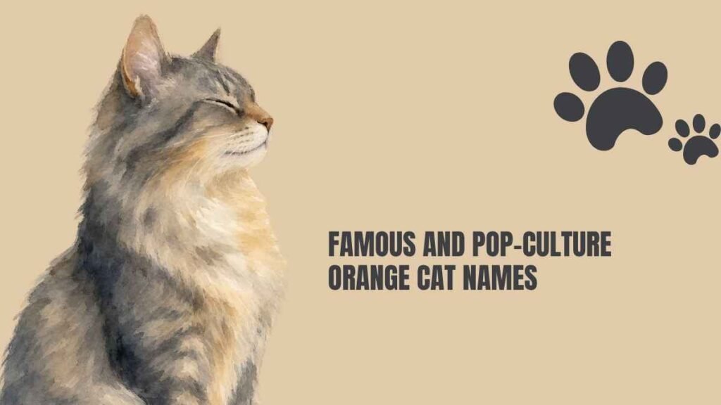 Cute Orange Cat Names