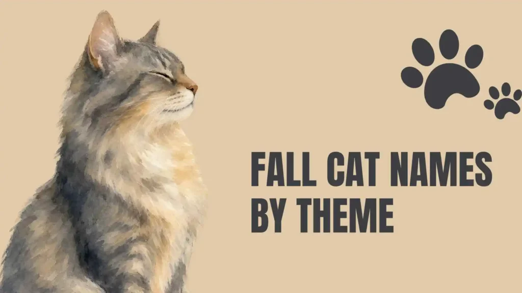 fall cat names