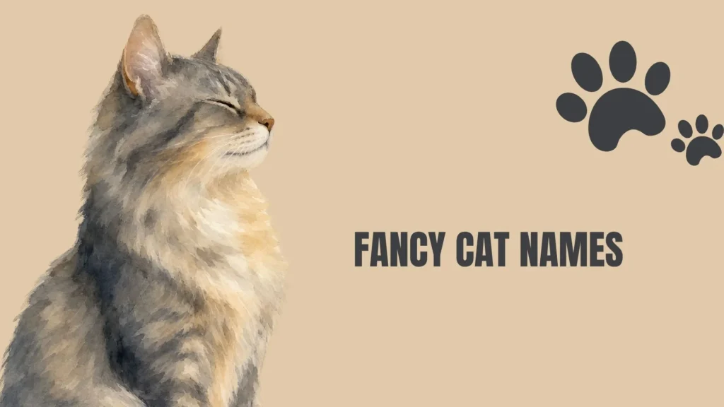 fancy cat names