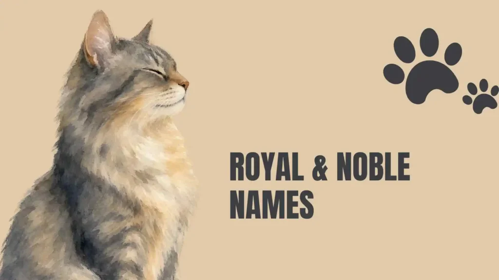 fancy female cat names