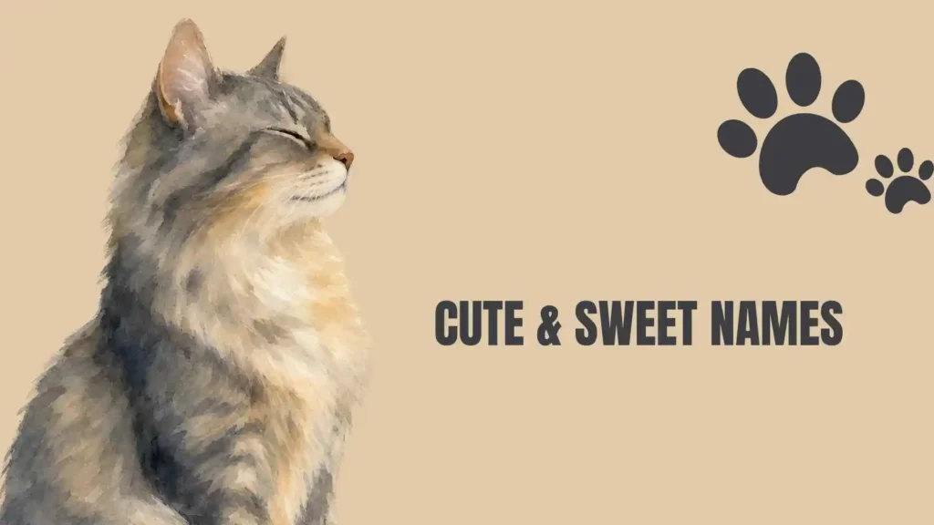 Female Orange Cat Names
