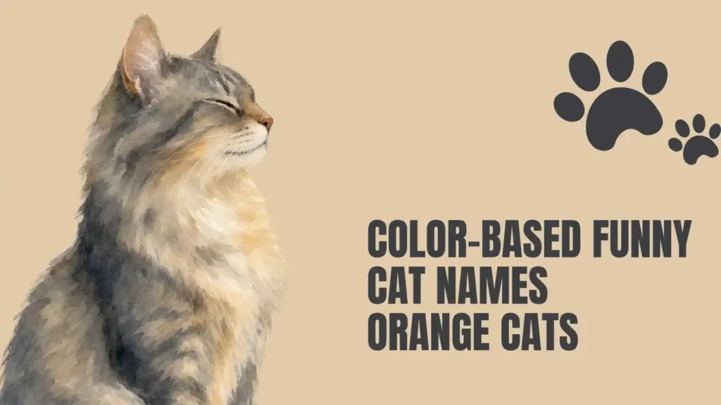 funniest cat names