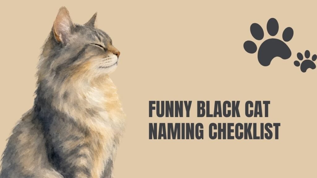 funny black cat names