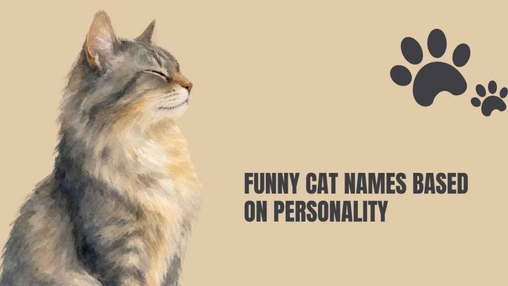 Funny Cat Names for Girls