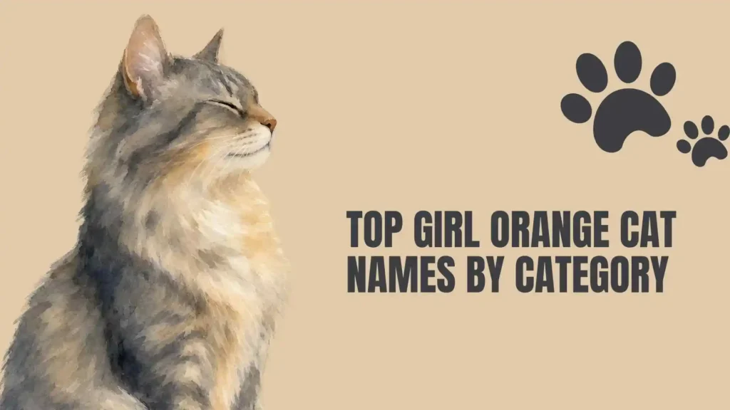 girl orange cat names