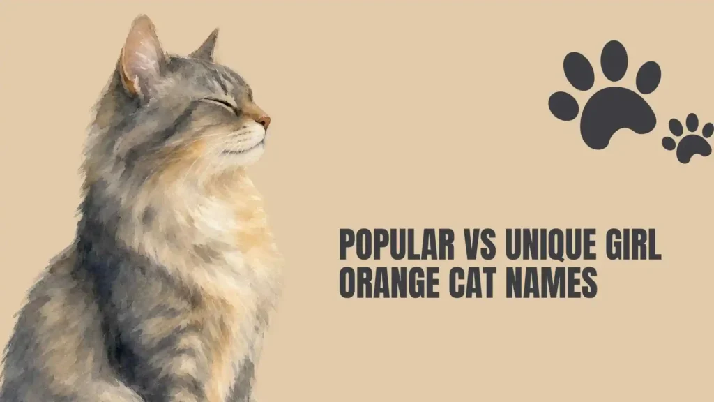 girl orange cat names