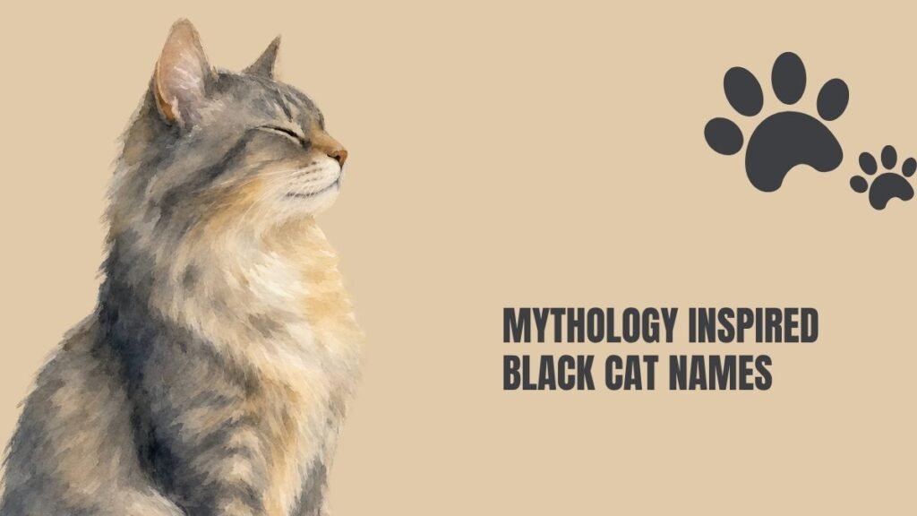 Good Black Cat Names