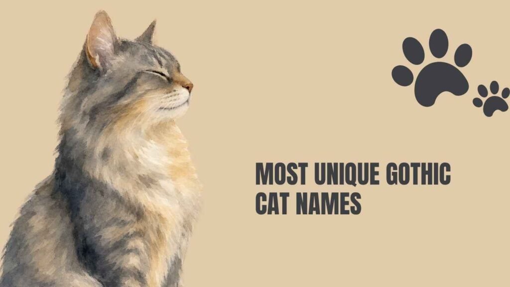 gothic cat names