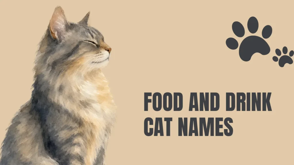 Gray And White Cat Names