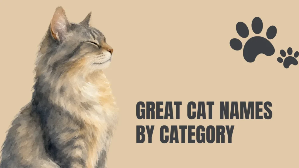 great cat names