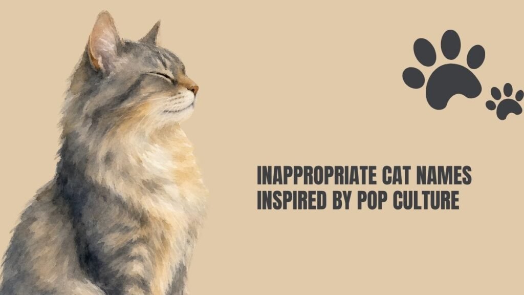 inappropriate cat names