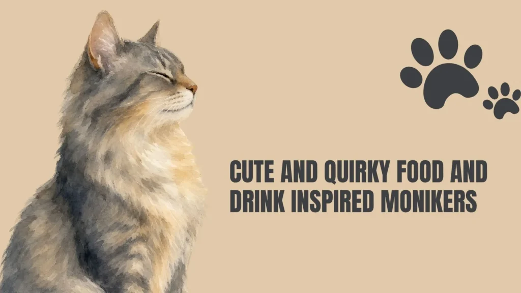 irish cat names