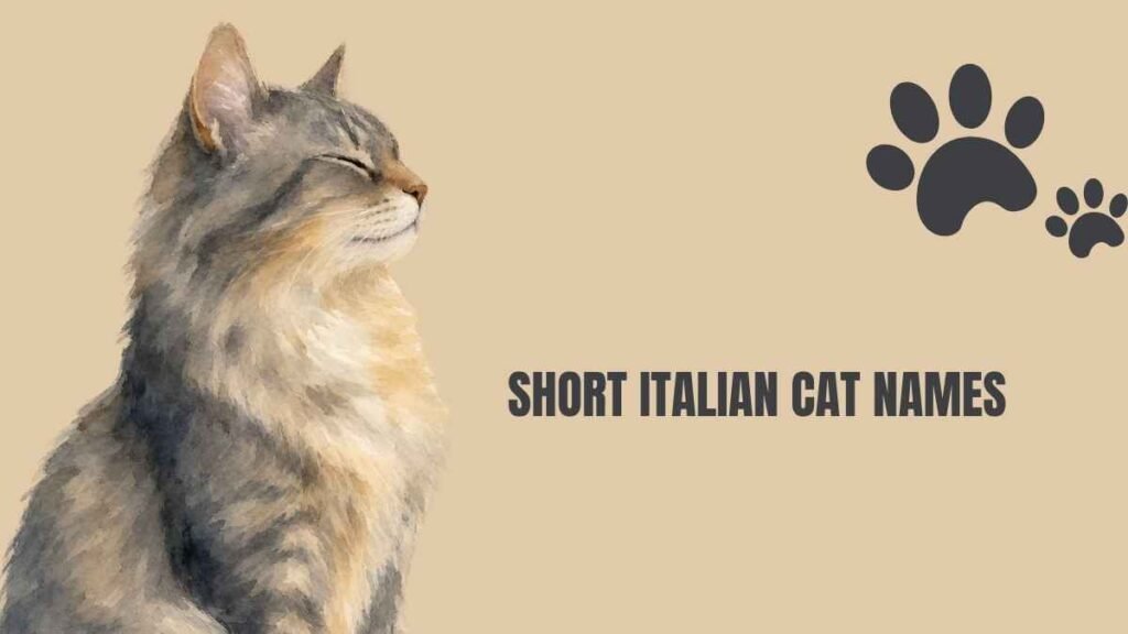 italian cat names