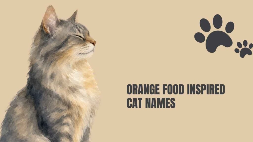 male orange cat names
