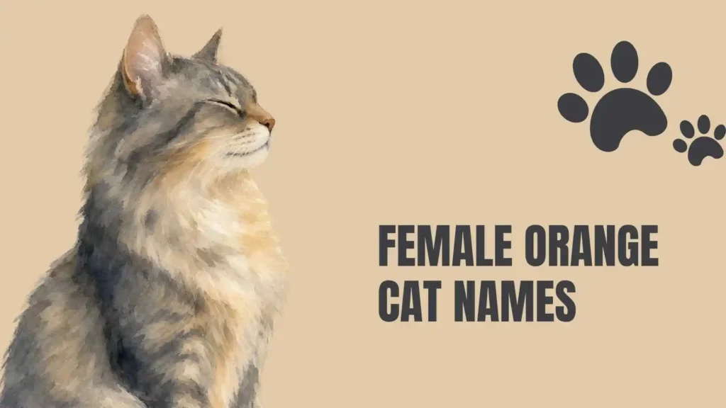 names for an orange cat