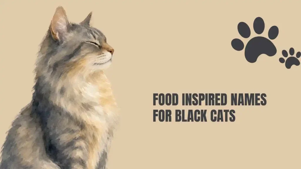 names for black cat