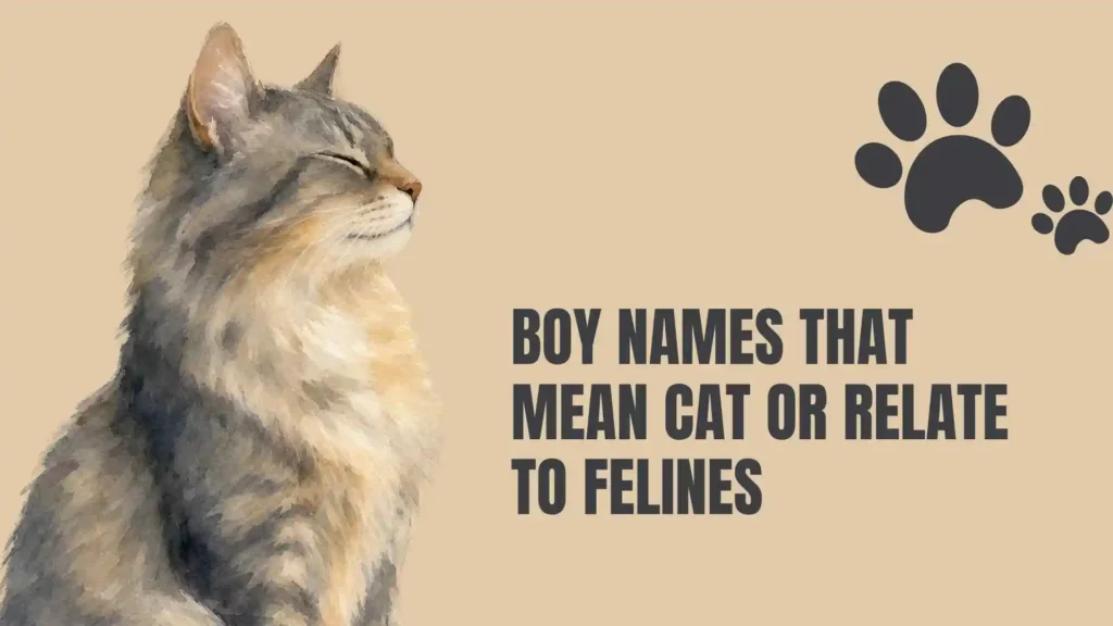 names that mean cat