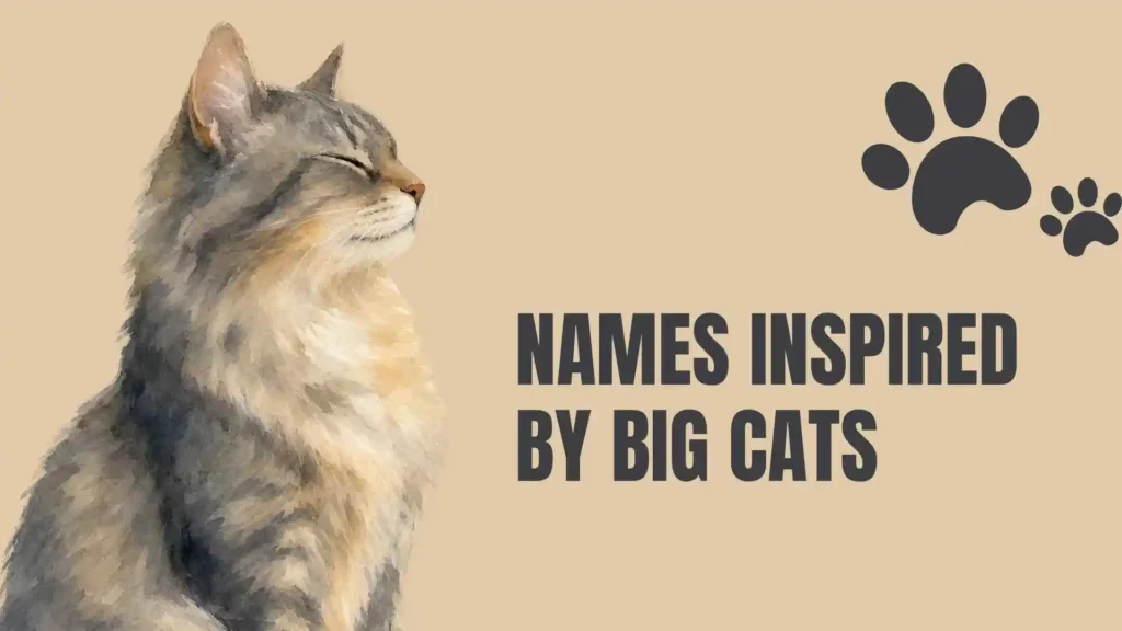 names that mean cat