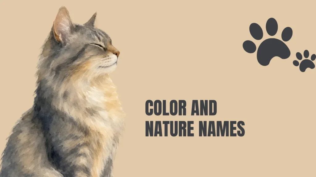 orange female cat names