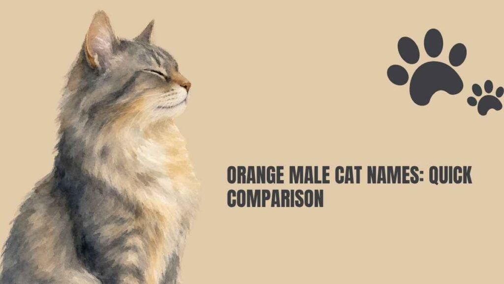 Orange Male Cat Names