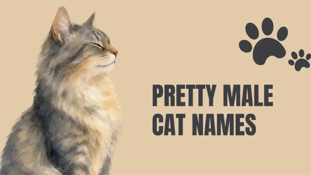 pretty cat names