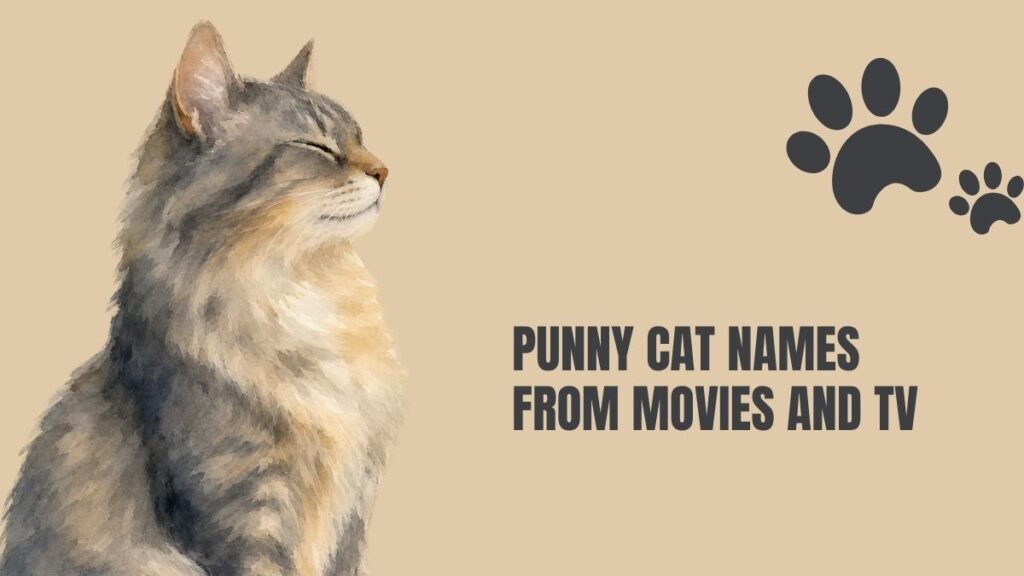 Punny Cat Names