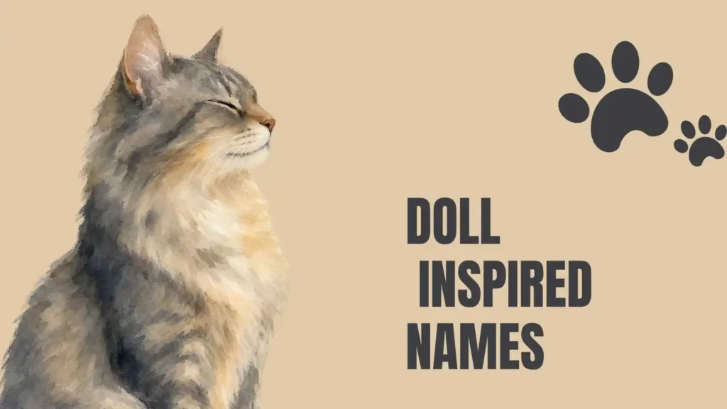 ragdoll cat names