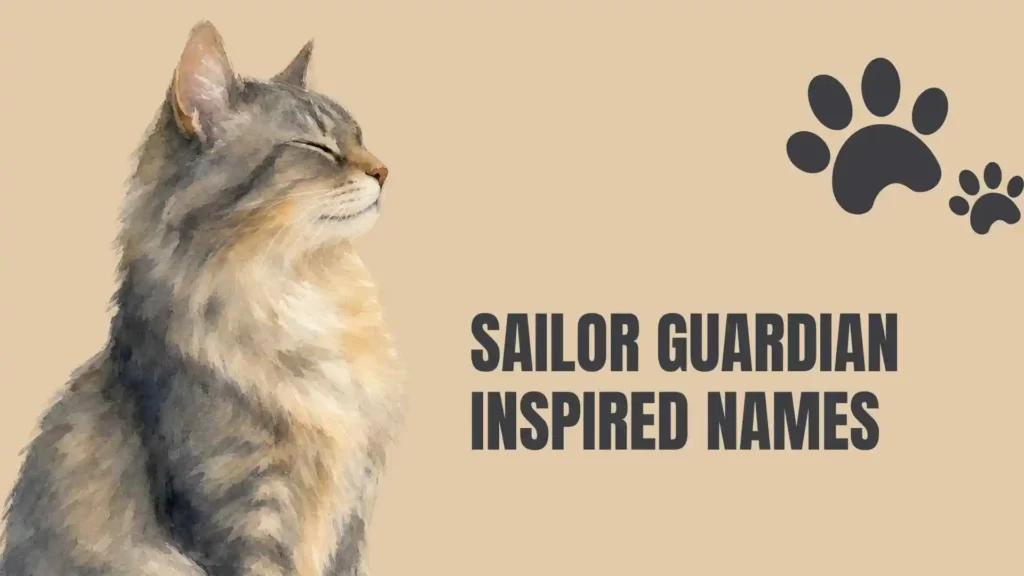 sailor moon cat names