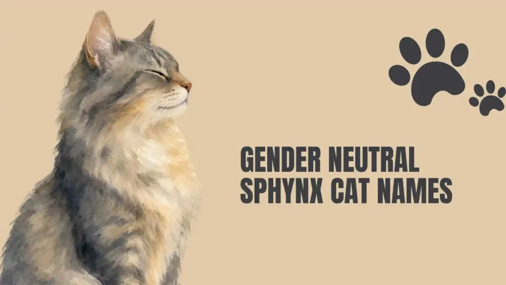 sphynx cat names