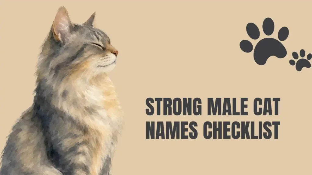 strong male cat names