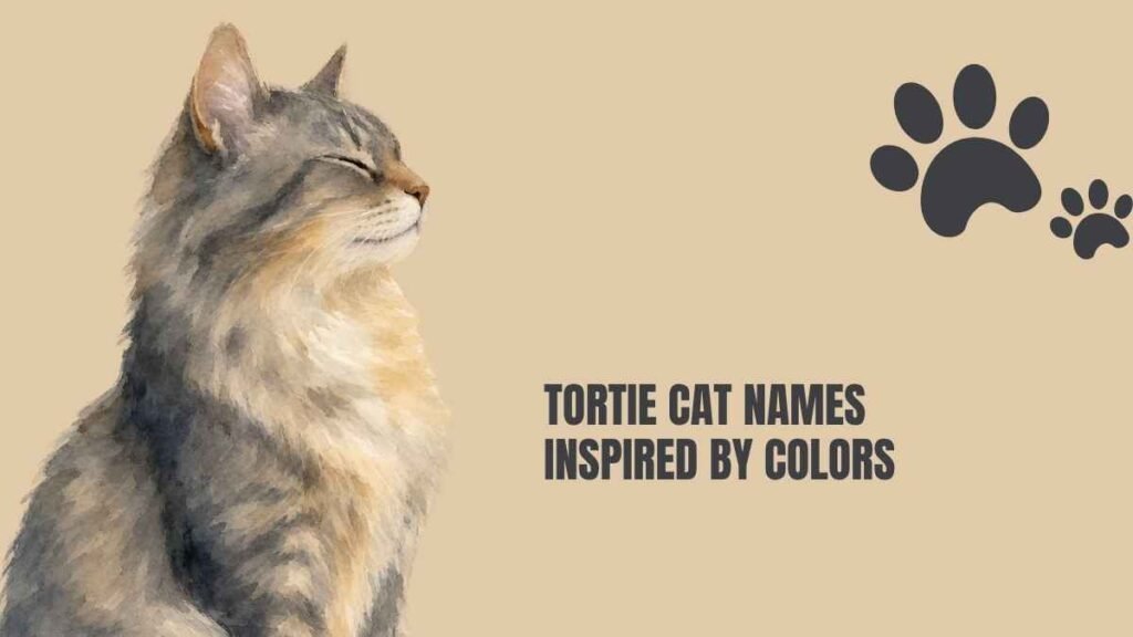Tortie Cat Names